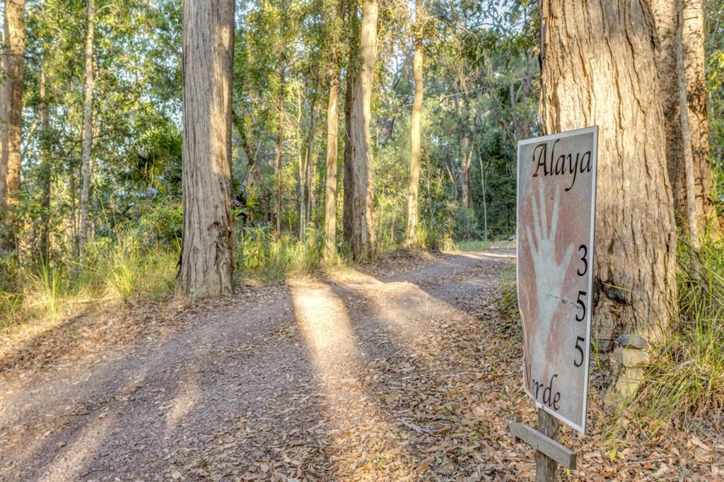 อลายาเวอเด Bed & Breakfast Ringtail Creek ภายนอก รูปภาพ