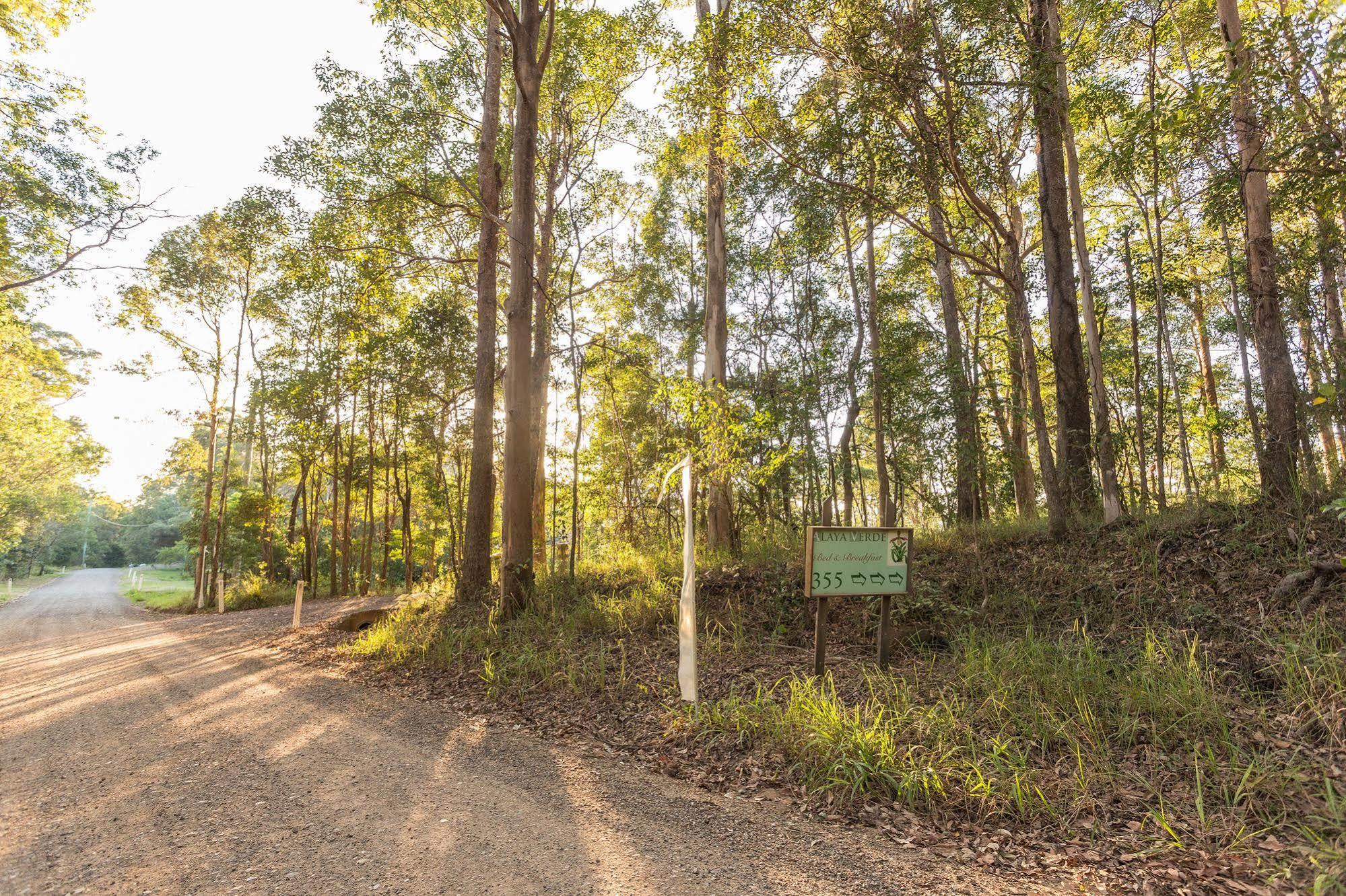 อลายาเวอเด Bed & Breakfast Ringtail Creek ภายนอก รูปภาพ