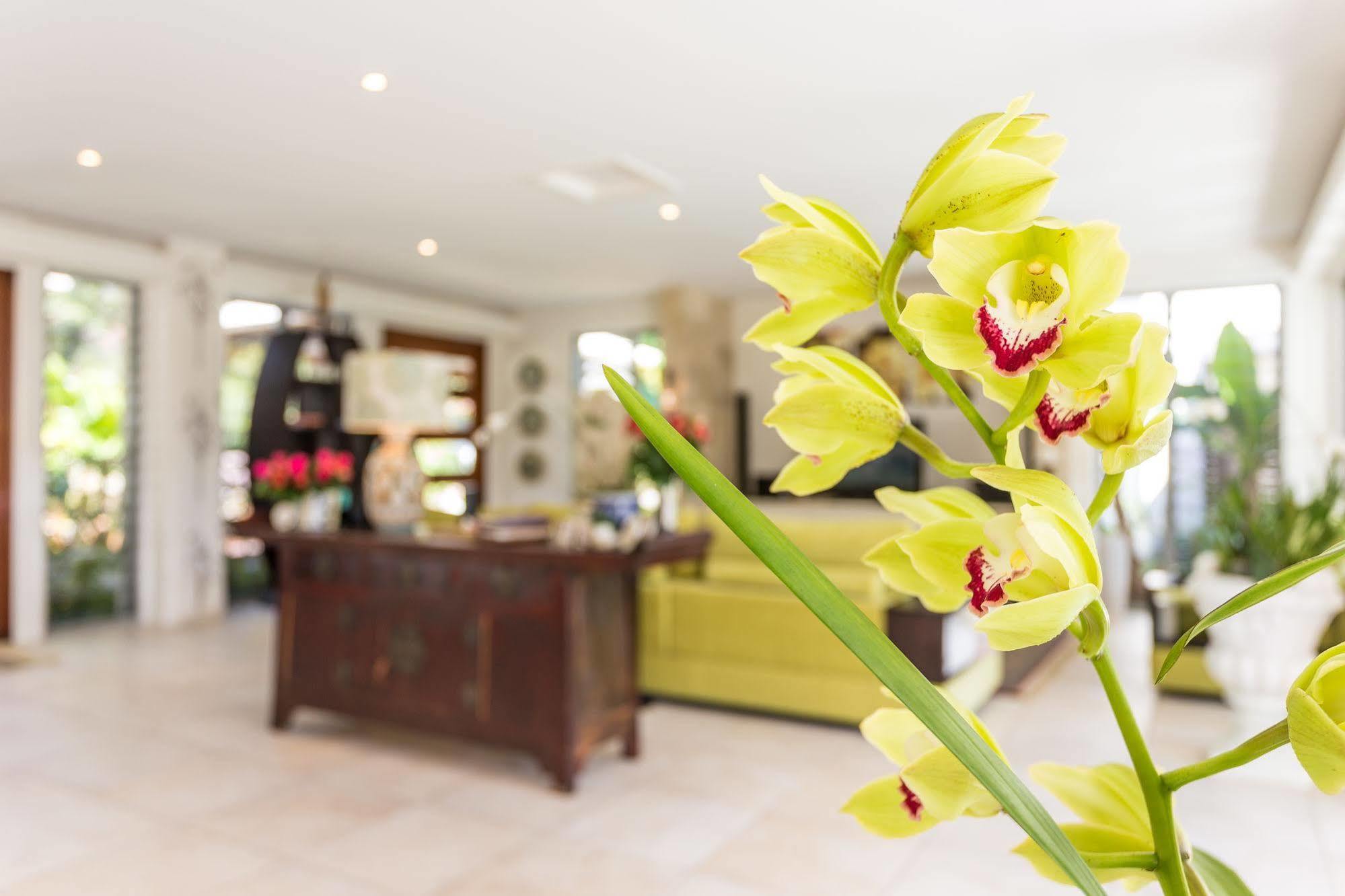 อลายาเวอเด Bed & Breakfast Ringtail Creek ภายนอก รูปภาพ